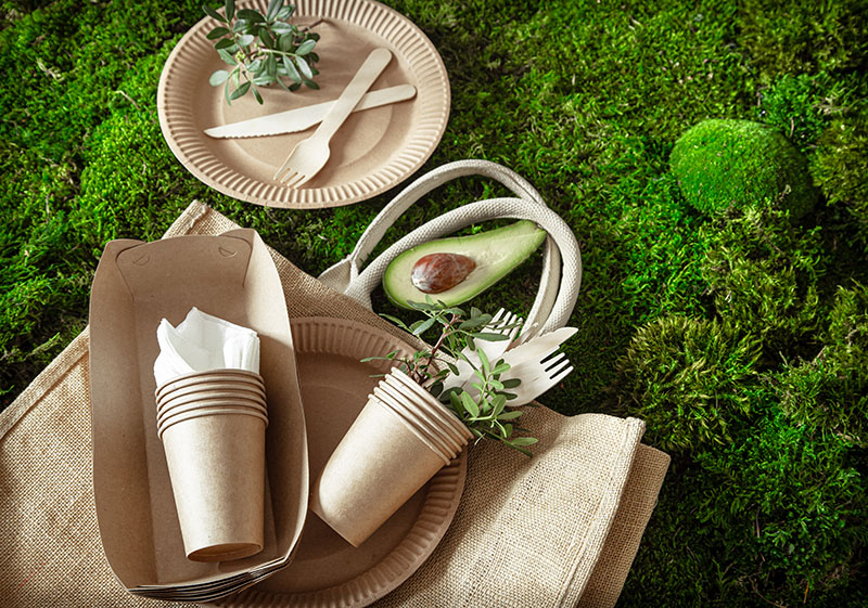 Biodegradable Paper Cups